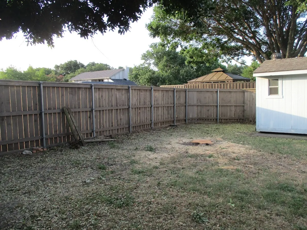 Cleared yard after professional tree removal in Port Washington